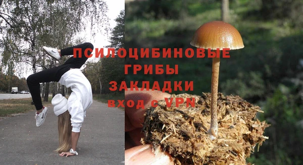 не бодяженный Верея
