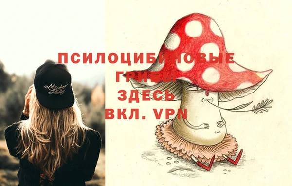 прущая мука Верхний Тагил