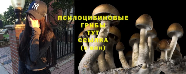 прущая мука Верхний Тагил