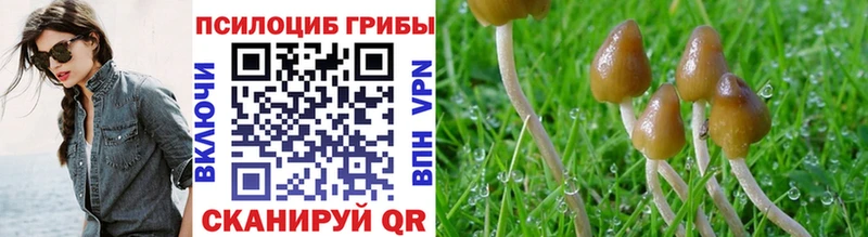 Купить где  Муравленко  Галлюциногенные грибы мухоморы 